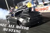 All motor mustang