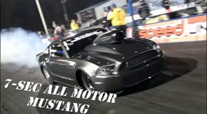 All motor mustang